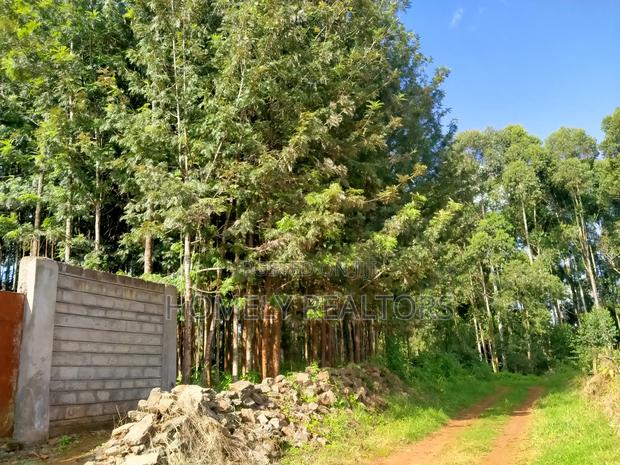 Residential Eighth Acre Plot in Kikuyu, Ondiri Near Tarmac - thumbnail 4