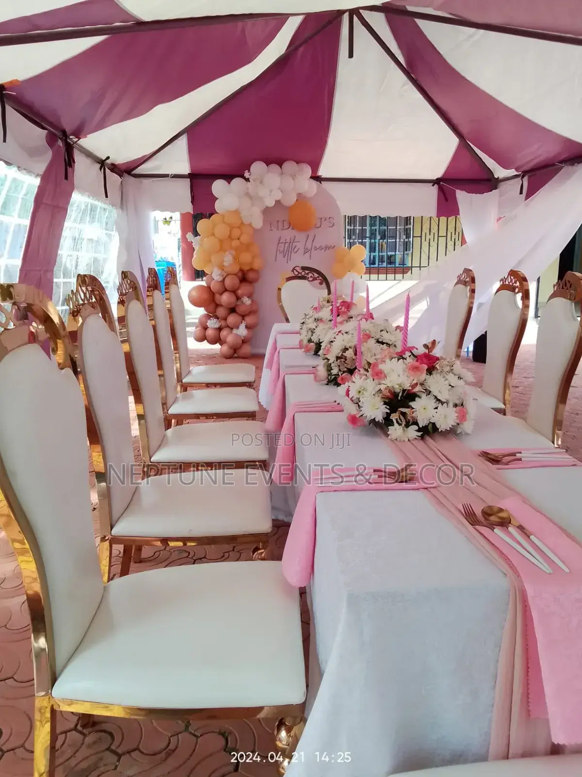 Events Party Items for Hire