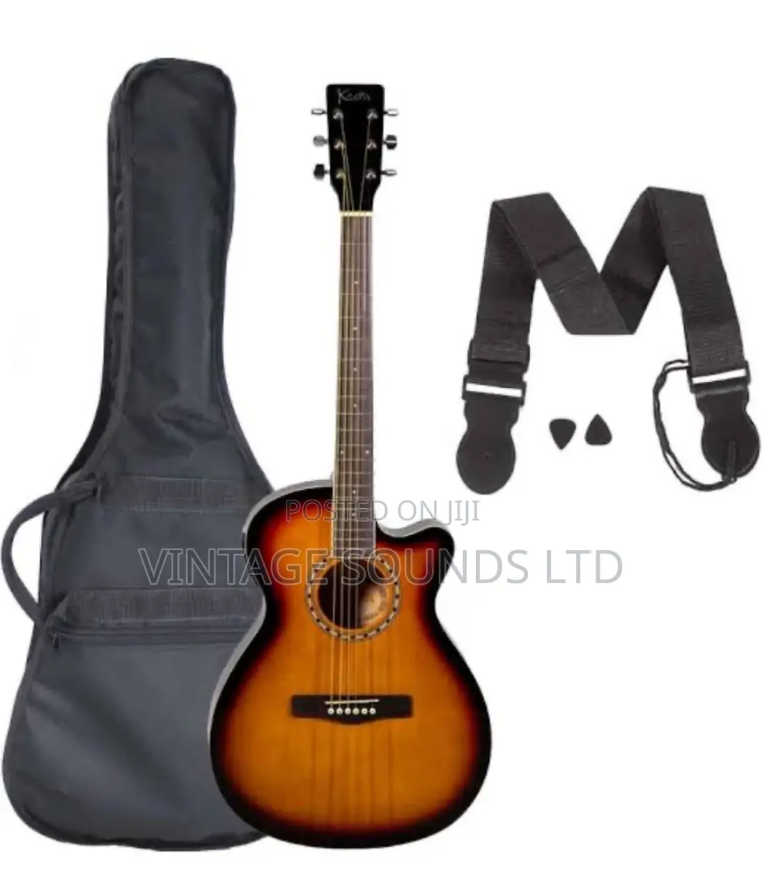 Ibanez 6-String Acoustic-Electric Guitar +Bag