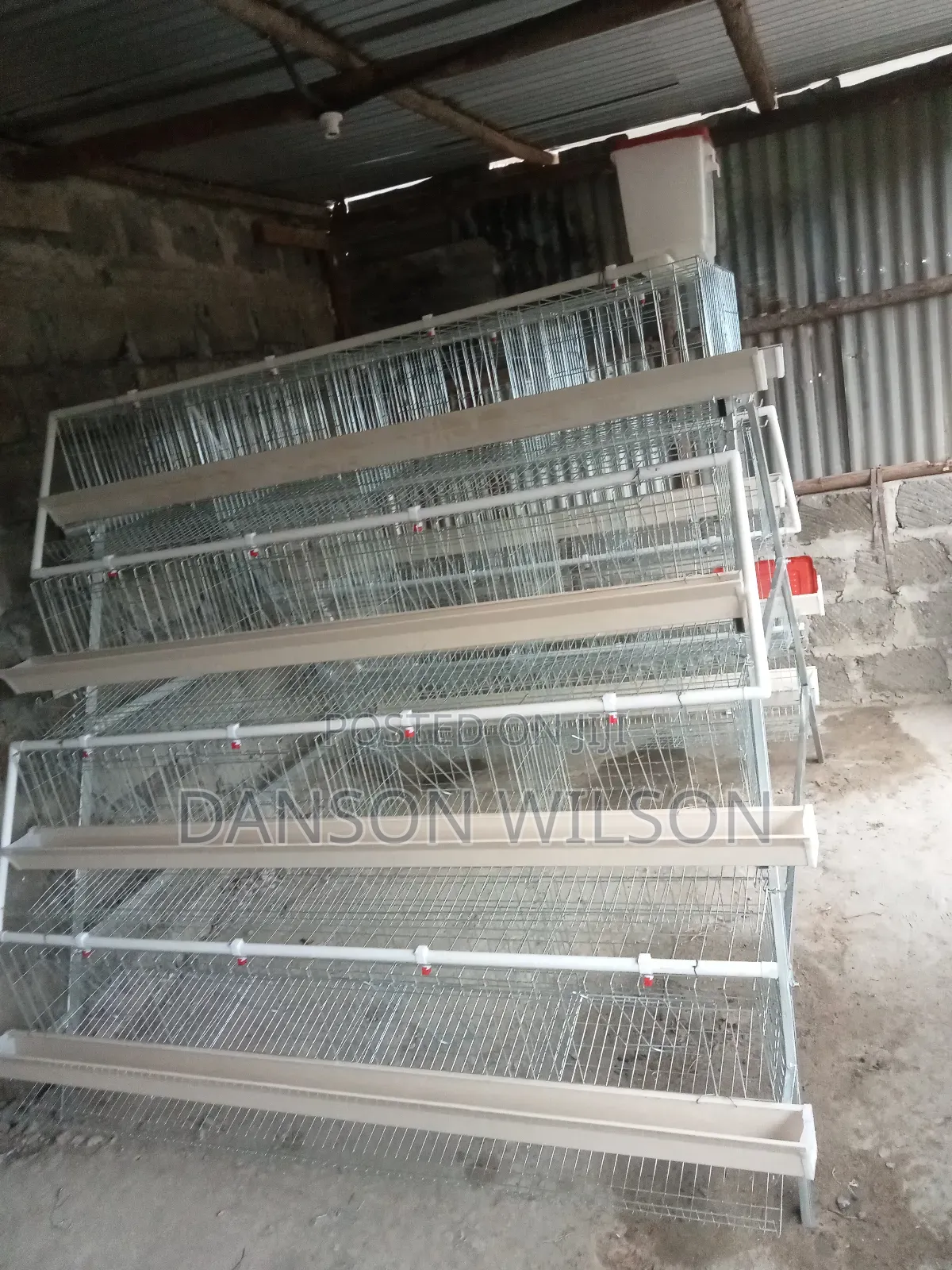 Chicken Cages