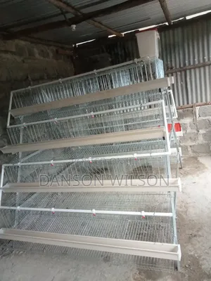 Chicken Cages