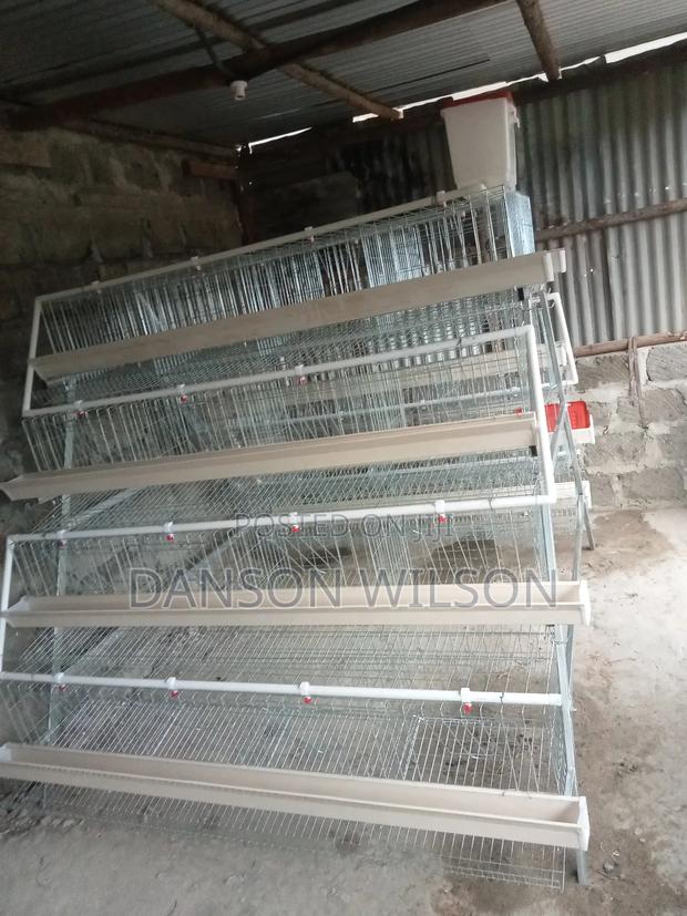Chicken Cages - main view