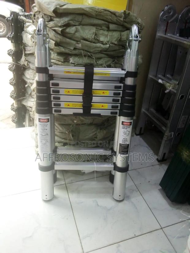 Double Telescopic Ladder - main view
