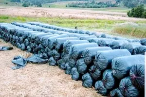 Silage Bags Gauge 1200 (30kg Roll)