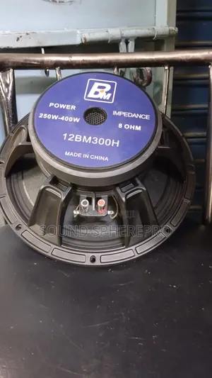 12BM3000H 12 Inch Naked Speaker