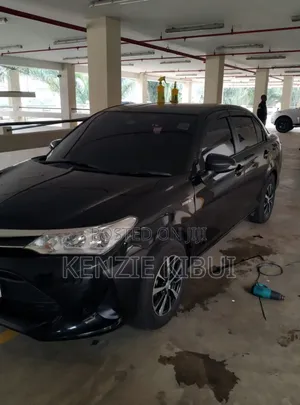 Car Tinting Service