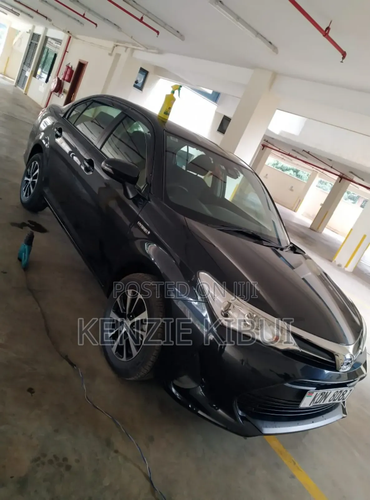 Car Tinting Service