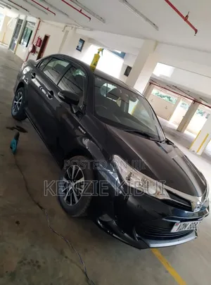 Car Tinting Service