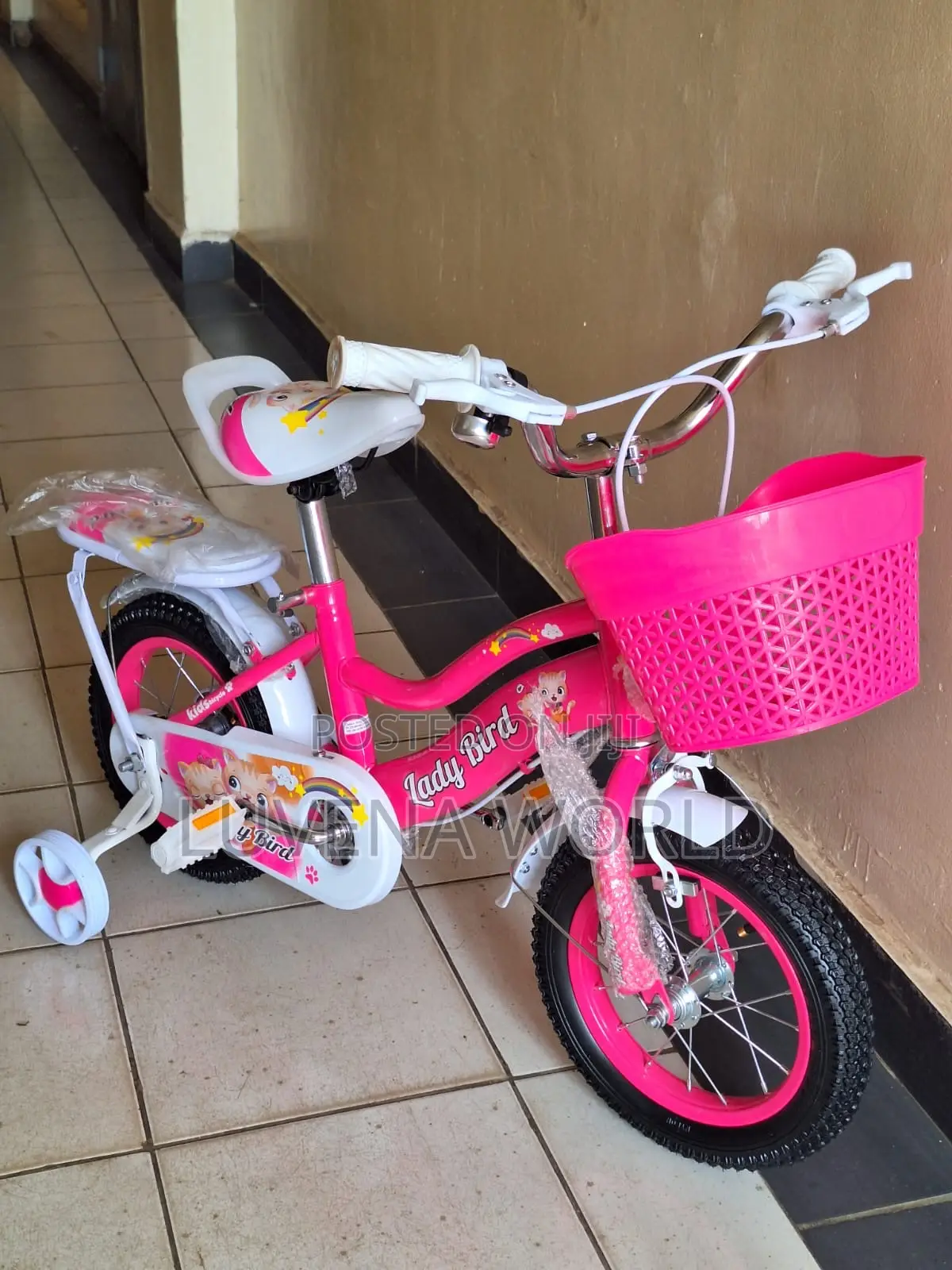 Size 12 Bike