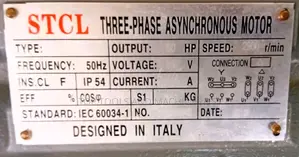 STCL Italy 50hp 3 Phase High Speed Electric Motor