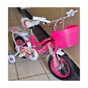 Size 16 Ladybird Bike