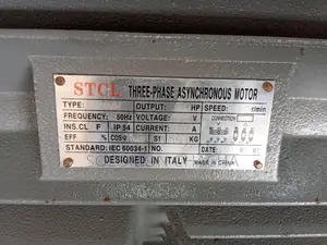 STCL Italy 60hp 3 Phase High Speed Electric Motor