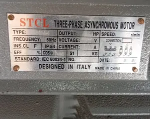 STCL Italy 60hp 3 Phase High Speed Electric Motor