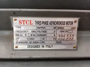STCL Italy 75hp 3 Phase High Speed Electric Motor