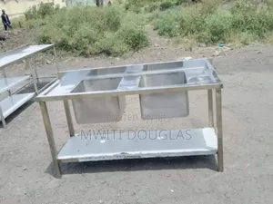 Rust Free Modest Double Sink