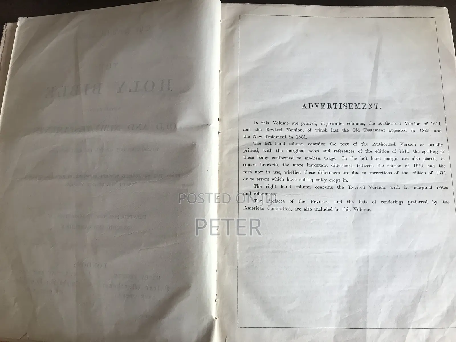 The Parallel Bible 1890