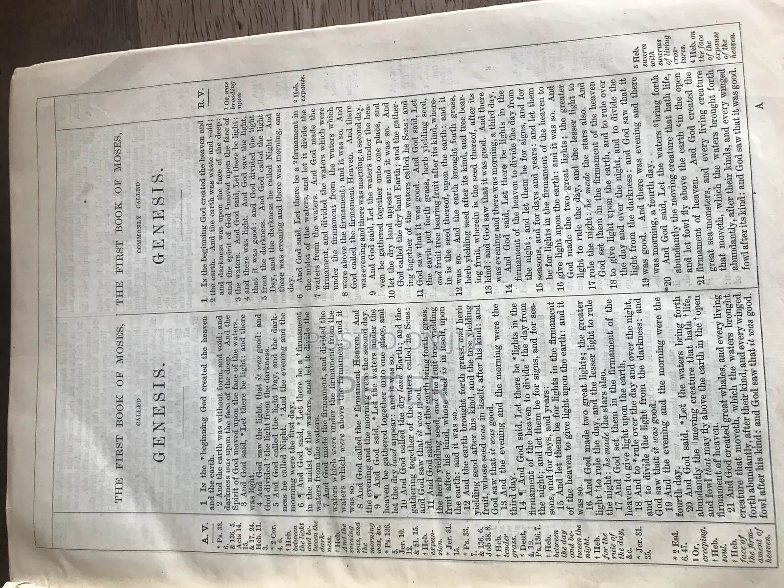 The Parallel Bible 1890