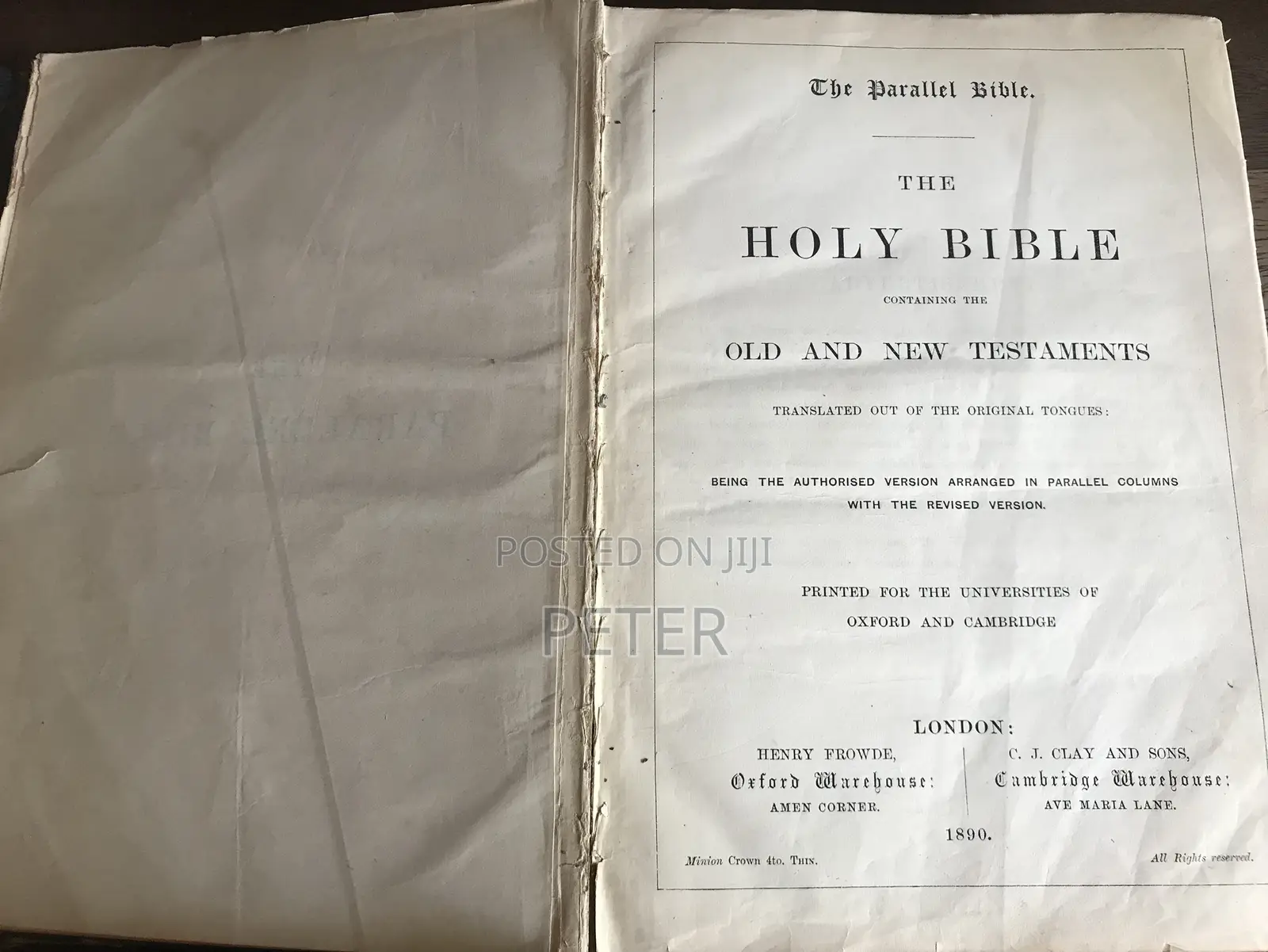The Parallel Bible 1890