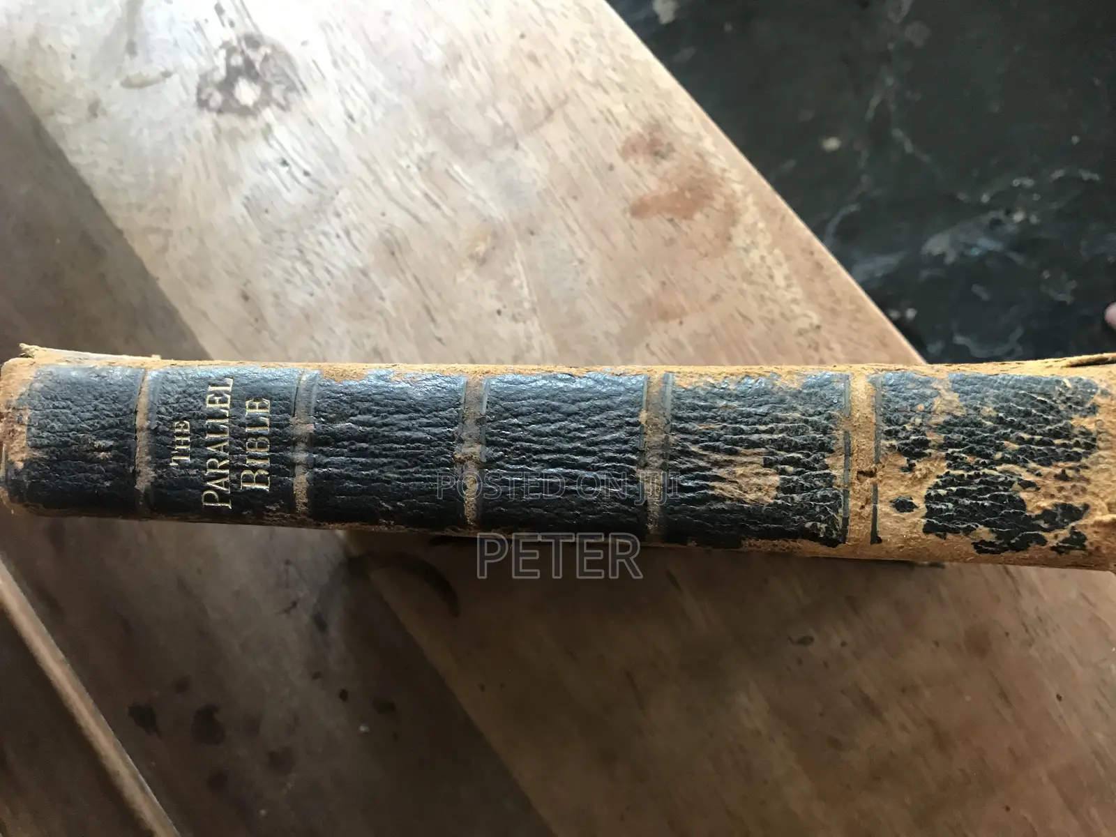 The Parallel Bible 1890