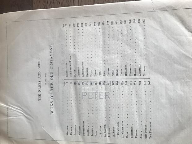 The Parallel Bible 1890 - thumbnail 5