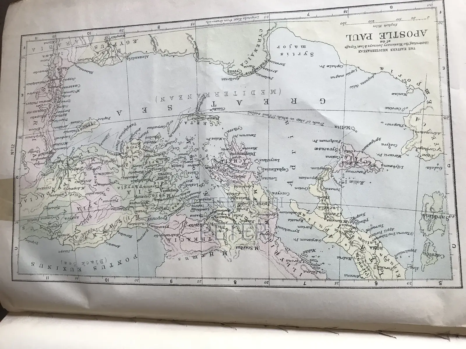 The Parallel Bible 1890