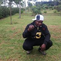 Anthony Njihia logo