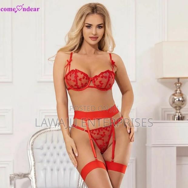 Women's Lace Mesh Lingerie Set - thumbnail 2