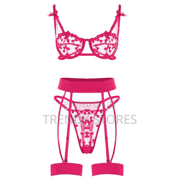 Sexy Lace Mesh Lingerie Set