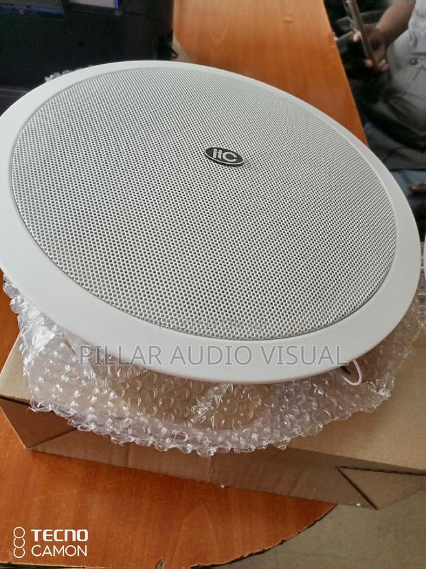 Do You Want Ceiling Speakers, Itc Ceiling Speakers