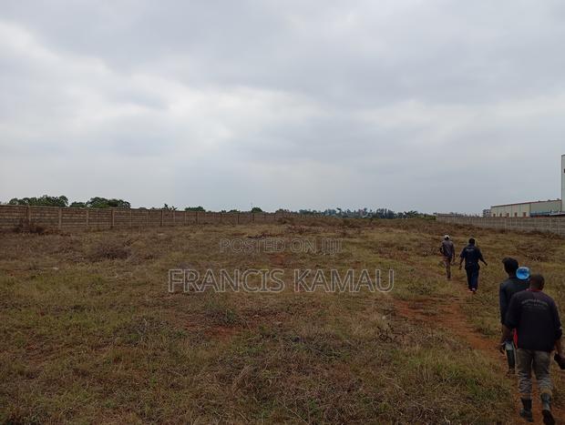 5acres For Sale - thumbnail 2