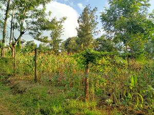 Residential Quarter Acre Plot in Ngong Lemiso Rd - thumbnail 2