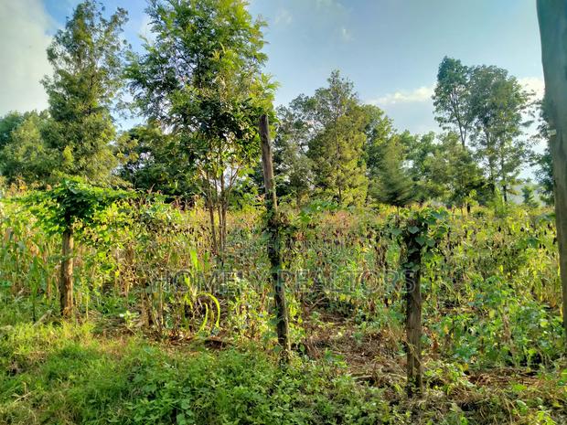 Residential Quarter Acre Plot in Ngong Lemiso Rd - thumbnail 3