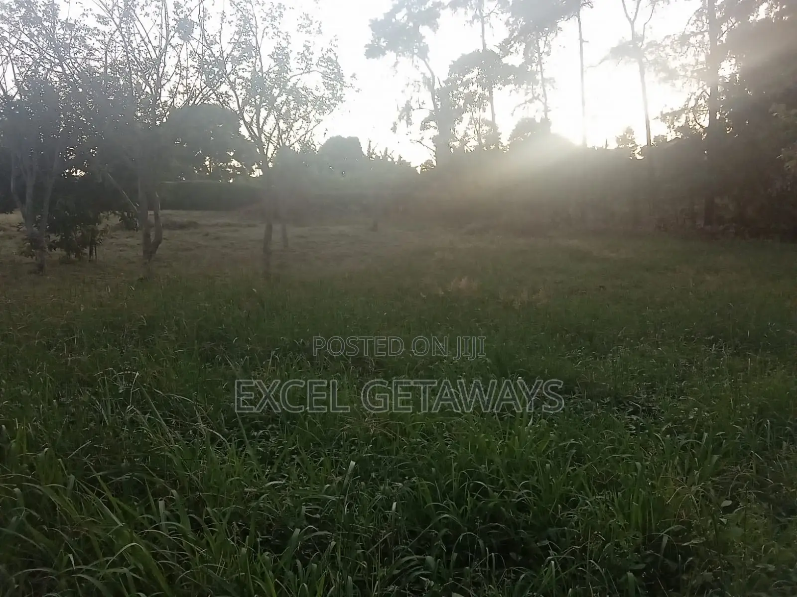 100x100 Plot Of Land For Sale Ndwaru Road