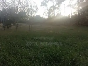 100x100 Plot Of Land For Sale Ndwaru Road