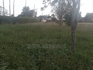 100x100 Plot Of Land For Sale Ndwaru Road