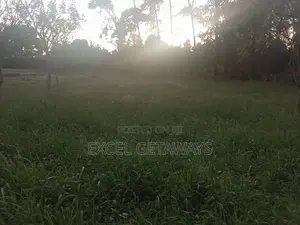100x100 Plot Of Land For Sale Ndwaru Road