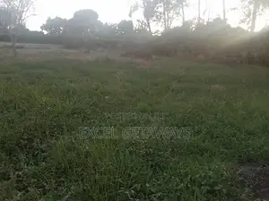100x100 Plot Of Land For Sale Ndwaru Road