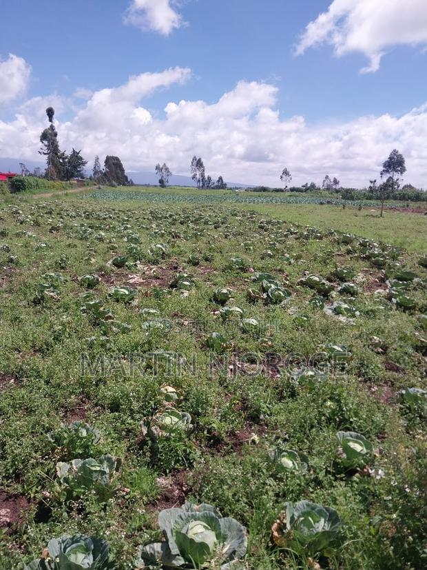 2 Acres Mwendandu, Heni Area