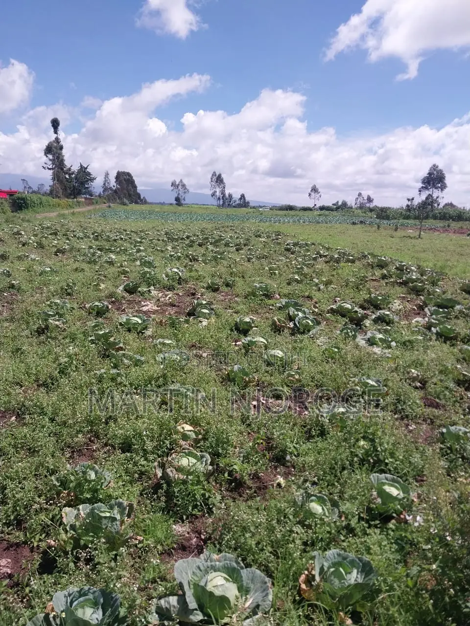 2 Acres Mwendandu, Heni Area