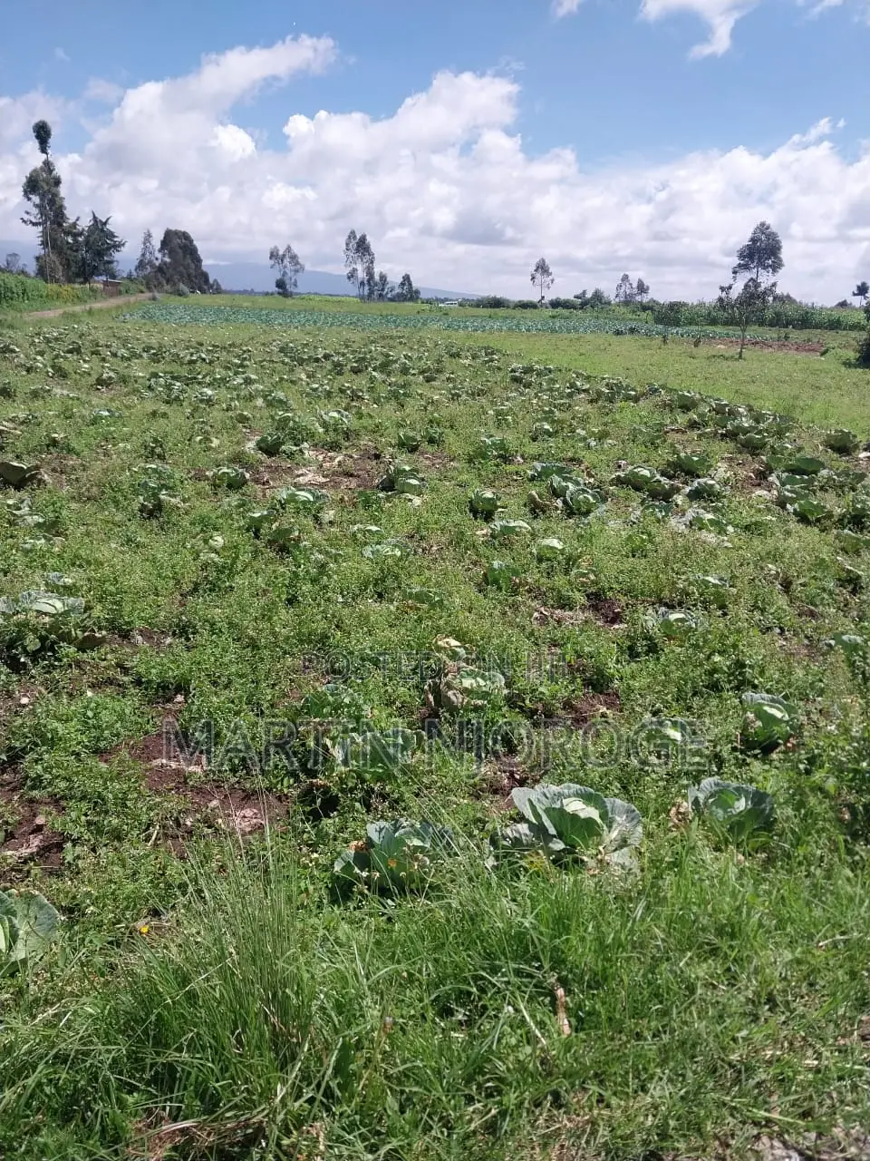 2 Acres Mwendandu, Heni Area