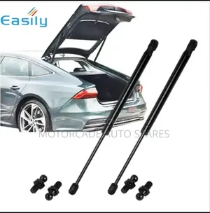 Lexus Rx 270/450h Boot Shocks