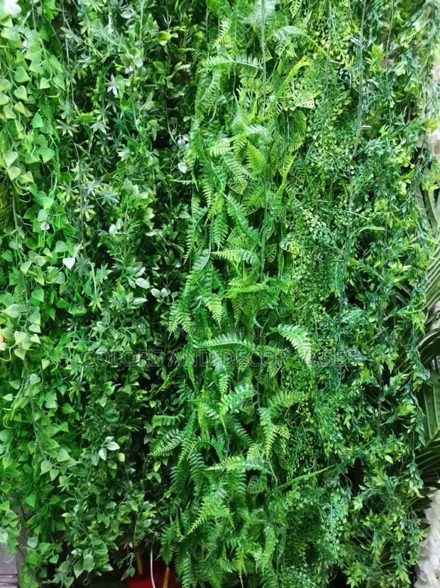 Hanging Plants Variety - main view