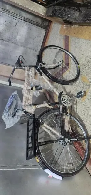 Goods and Services Transport Bicycle