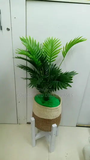 Palm, Basket Plus Stones and Wooden Stand