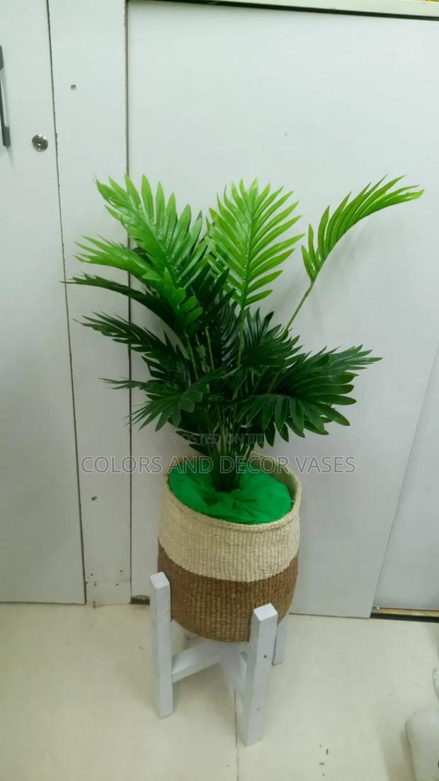 Palm, Basket Plus Stones and Wooden Stand