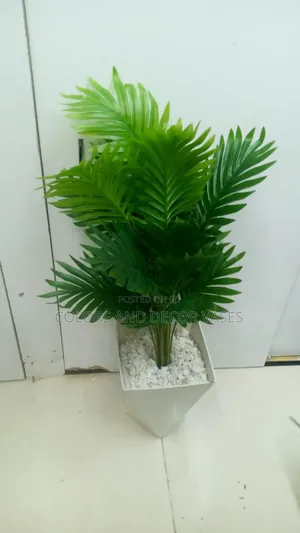 Palm Tree, Big Plastic Vase and Pebble Stones