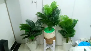 Artificial Plants With Vases and Stands Available