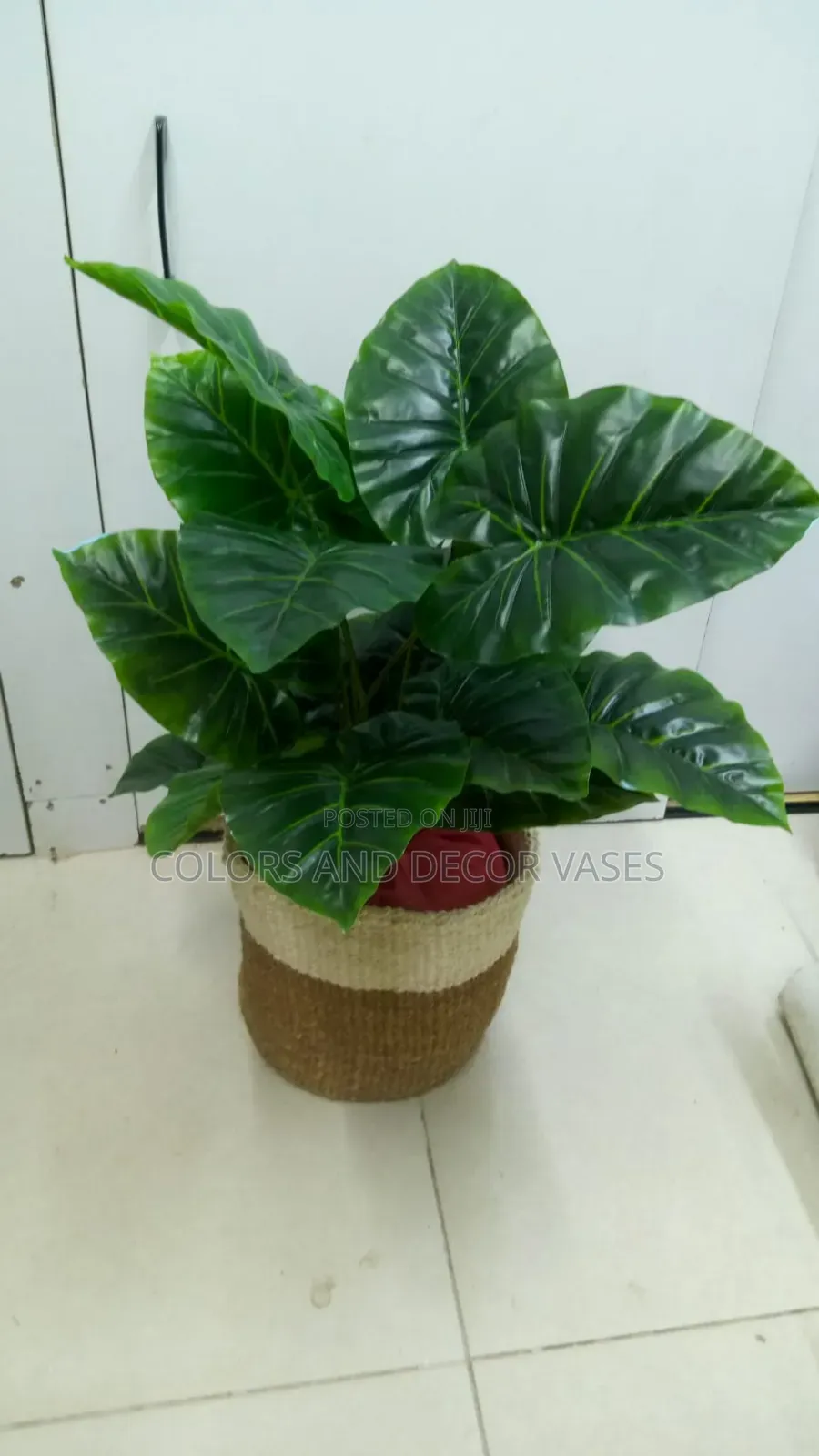 Green Plant With Basket KSH 2000.
