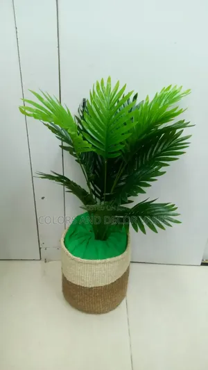 Palm Basket With White Pebble Stones