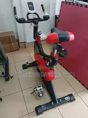 Fitness Exercise Bike/Spin Bike for Home Cardio * 